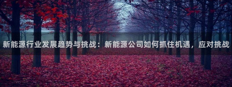 球盟会最新活动