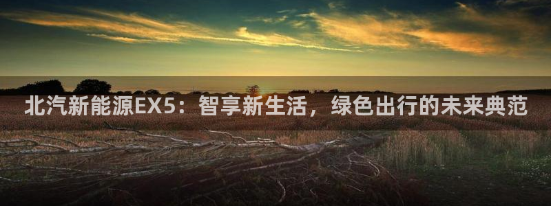 球盟会官网