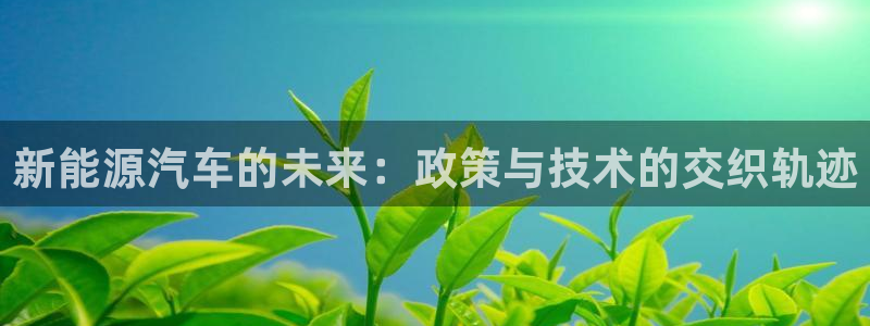 球盟会qmh电子网页版登录