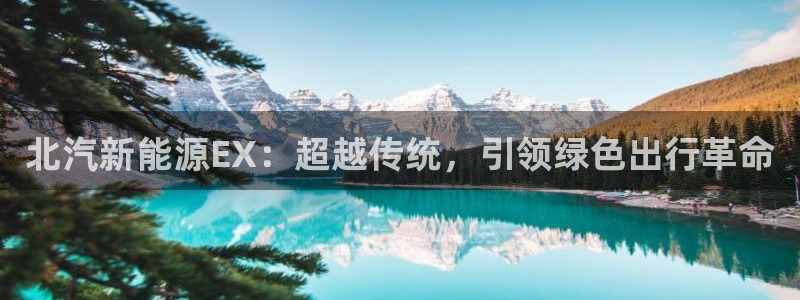 球盟会qmh