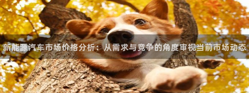 球盟会APP最新地址