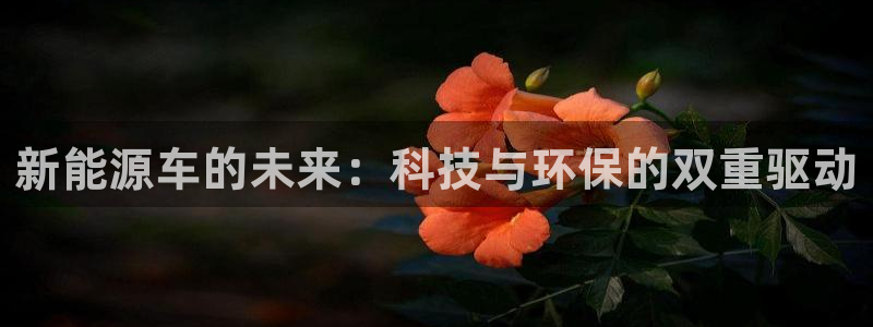 球盟会app手机登录