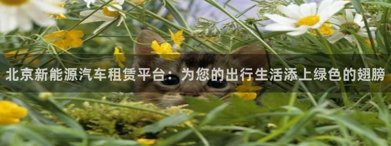 球盟会有没有黑单的人