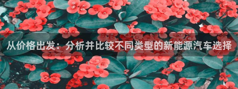 球盟会官网网页版