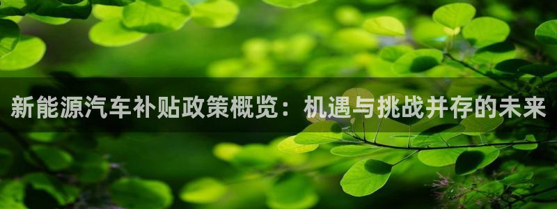 球盟会有没有黑单的：新能源汽车补贴政策概