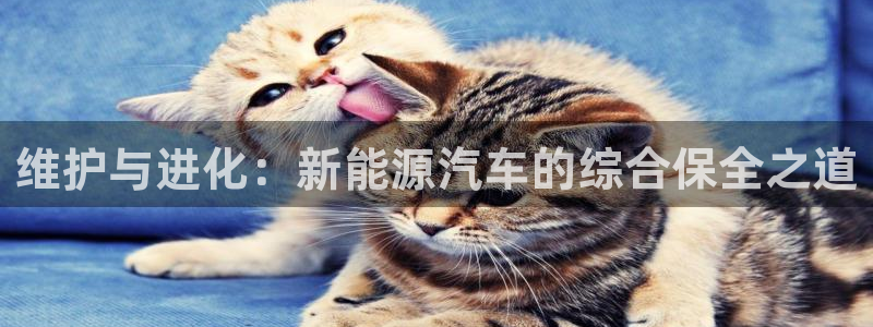 球盟会可以提现么是真的吗：维护与进化：新