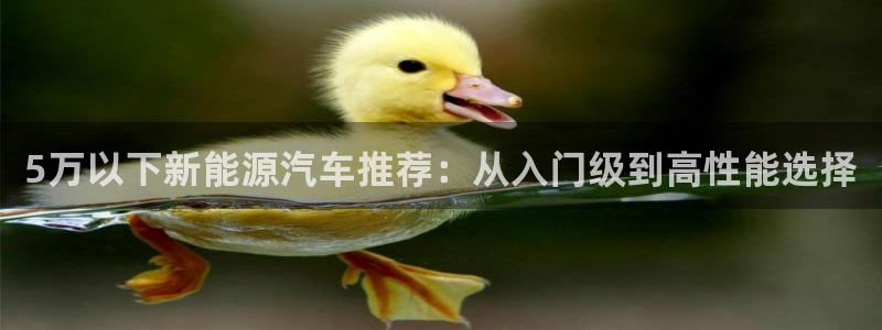 球盟会官网入口：5万以下新能源汽车推荐：