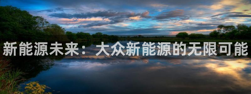 球盟会网页登录：新能源未来：大众新能源的